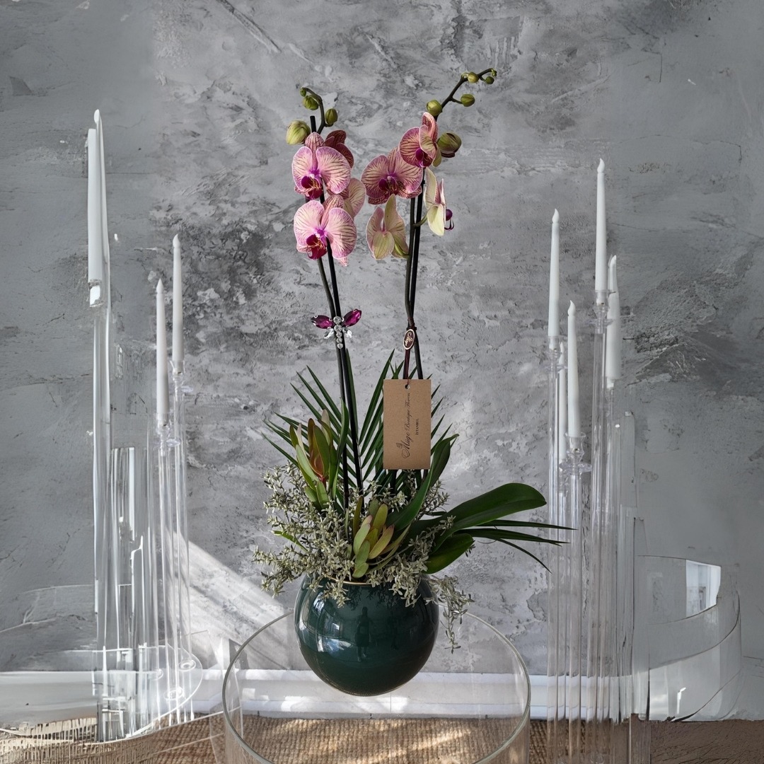 Yeşil Cam Fanusta Pembe Orkide Aranjmanı