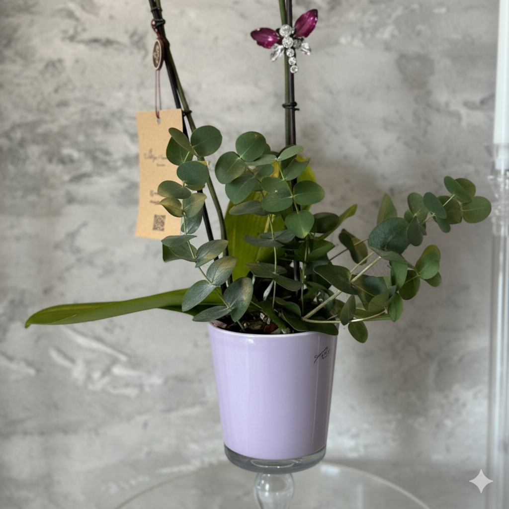 Ayaklı Vazoda Pembe Orkide Aranjmanı