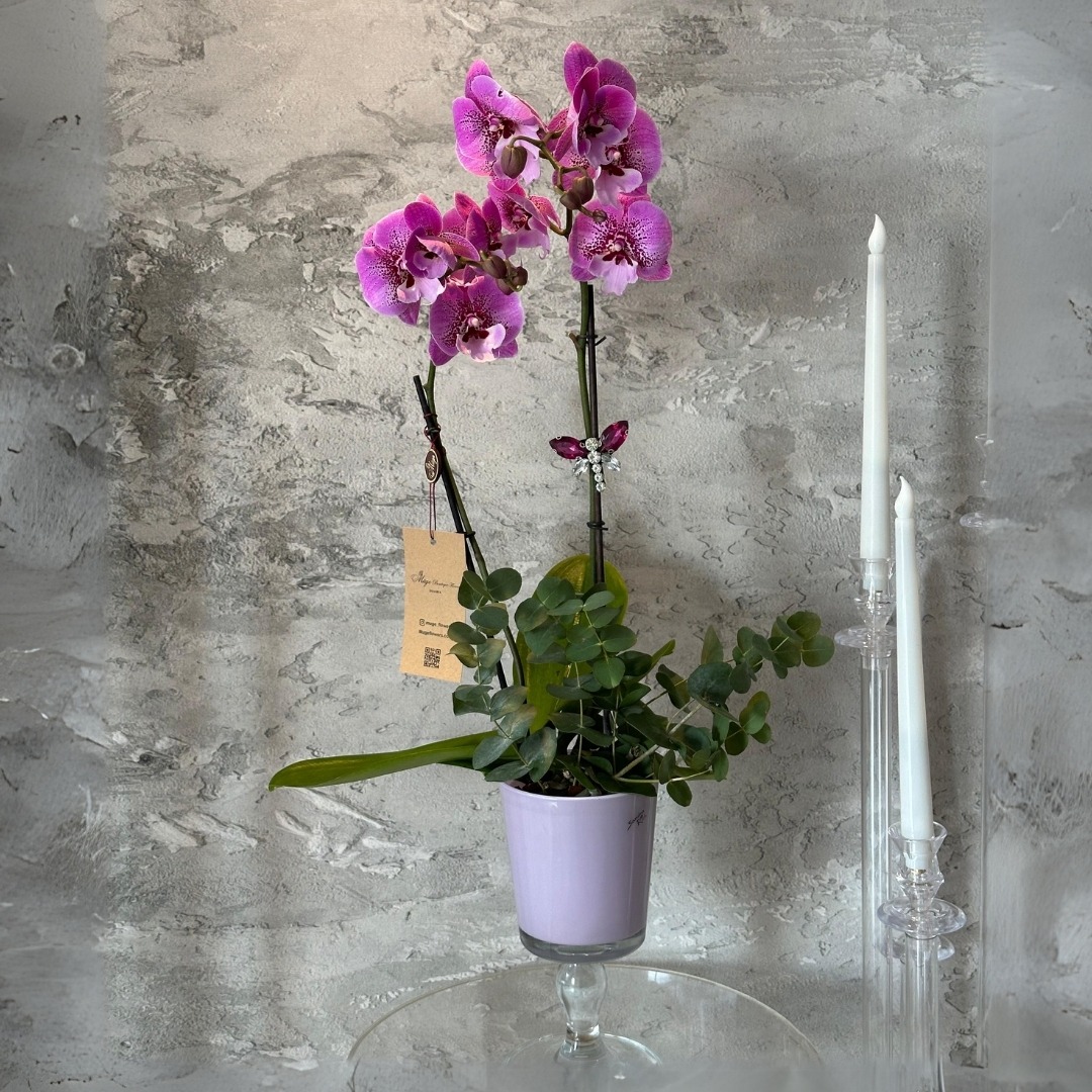 Ayaklı Vazoda Pembe Orkide Aranjmanı