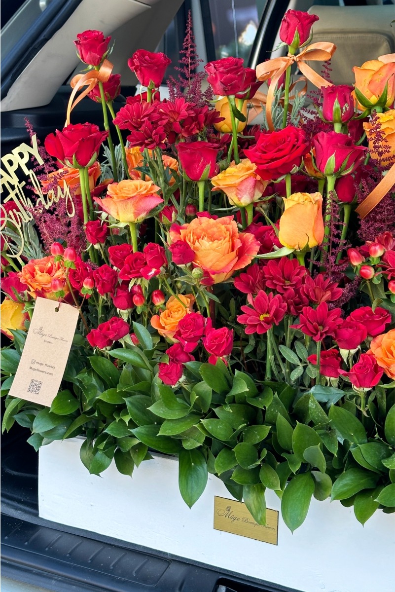 جعبه گل قرمز سلطنتی