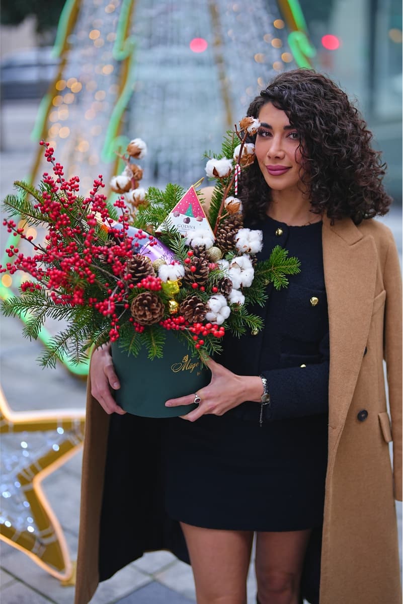 دونه برف کریسمسی