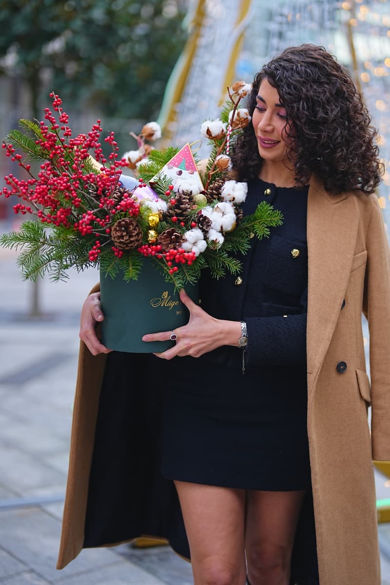 دونه برف کریسمسی